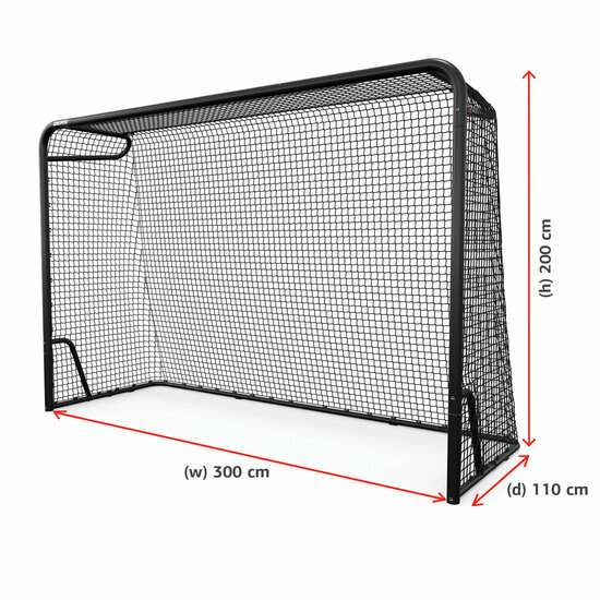 BERG SportsGoal L 300x200