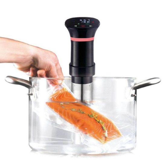 Sous-vide-Stab-Slowcooker